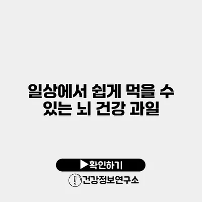 일상에서 쉽게 먹을 수 있는 뇌 건강 과일