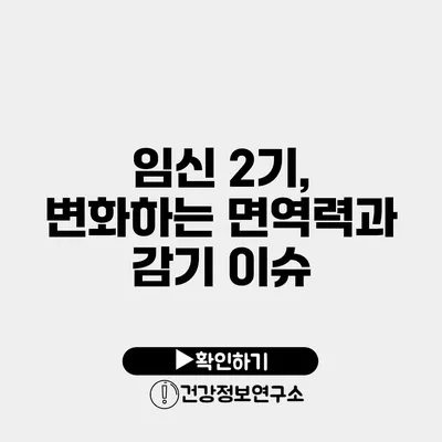 임신 2기, 변화하는 면역력과 감기 이슈