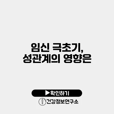 임신 극초기, 성관계의 영향은?