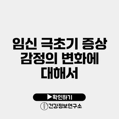 임신 극초기 증상 감정의 변화에 대해서