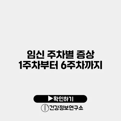 임신 주차별 증상 1주차부터 6주차까지