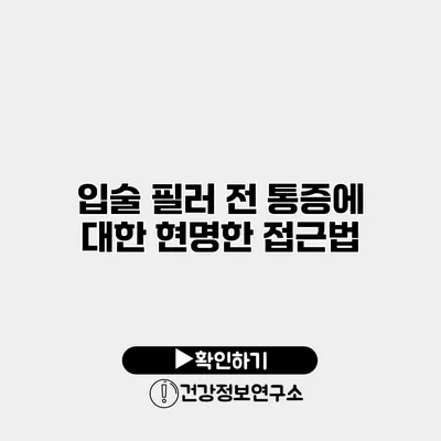 입술 필러 전 통증에 대한 현명한 접근법