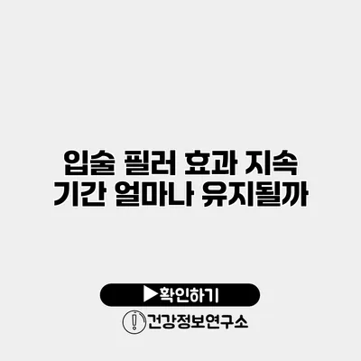 입술 필러 효과 지속 기간 얼마나 유지될까?