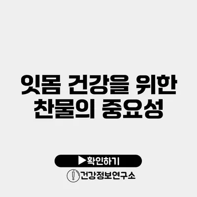 잇몸 건강을 위한 찬물의 중요성