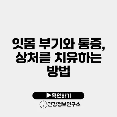 잇몸 부기와 통증, 상처를 치유하는 방법