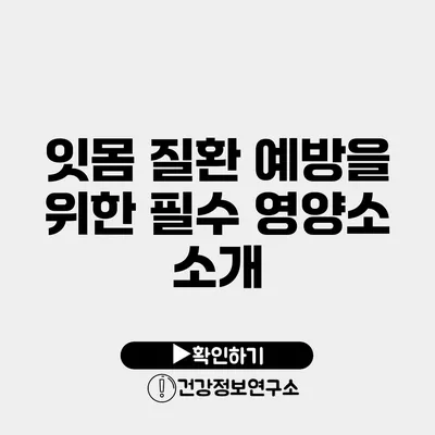 잇몸 질환 예방을 위한 필수 영양소 소개