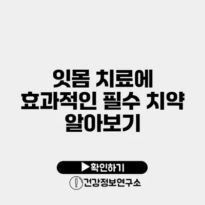 잇몸 치료에 효과적인 필수 치약 알아보기