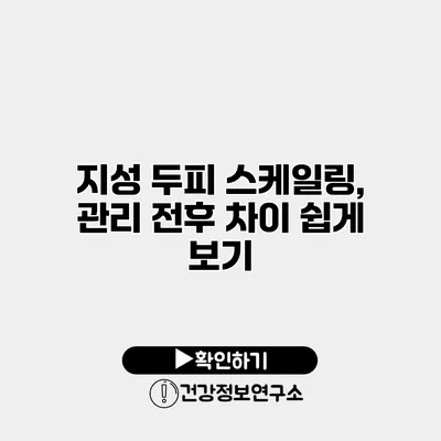 지성 두피 스케일링, 관리 전후 차이 쉽게 보기