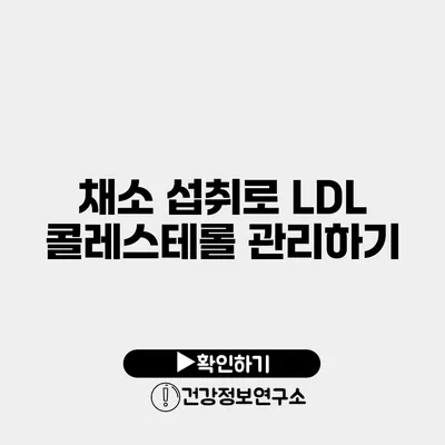 채소 섭취로 LDL 콜레스테롤 관리하기