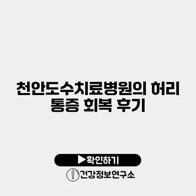 천안도수치료병원의 허리 통증 회복 후기