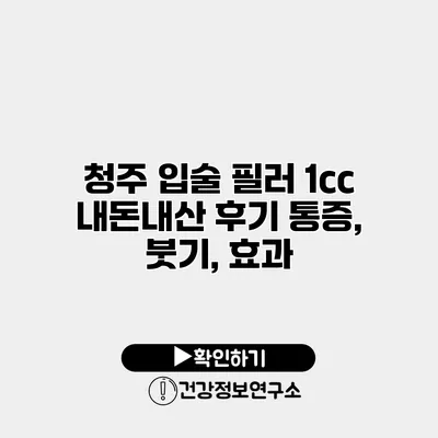 청주 입술 필러 1cc 내돈내산 후기 통증, 붓기, 효과