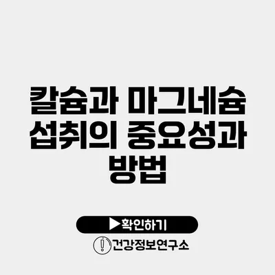 칼슘과 마그네슘 섭취의 중요성과 방법