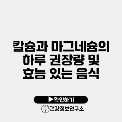 칼슘과 마그네슘의 하루 권장량 및 효능 있는 음식