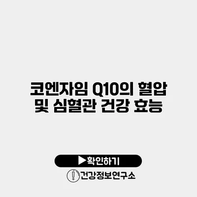 코엔자임 Q10의 혈압 및 심혈관 건강 효능