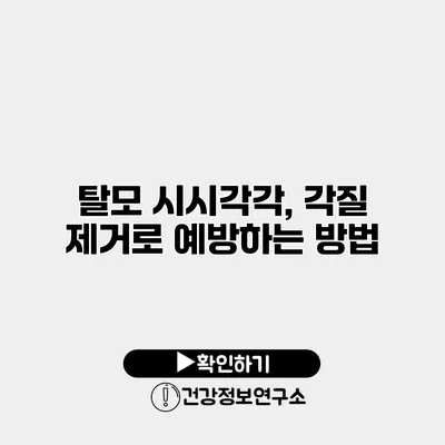 탈모 시시각각, 각질 제거로 예방하는 방법