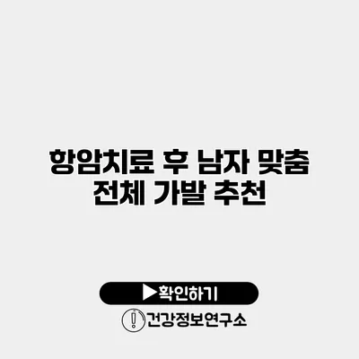 항암치료 후 남자 맞춤 전체 가발 추천