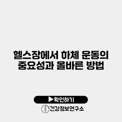 헬스장에서 하체 운동의 중요성과 올바른 방법