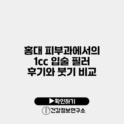 홍대 피부과에서의 1cc 입술 필러 후기와 붓기 비교