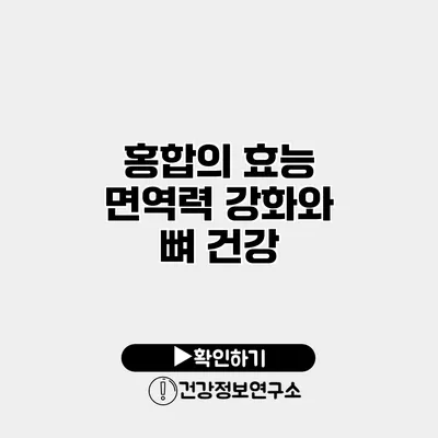 홍합의 효능 면역력 강화와 뼈 건강