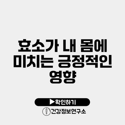 효소가 내 몸에 미치는 긍정적인 영향