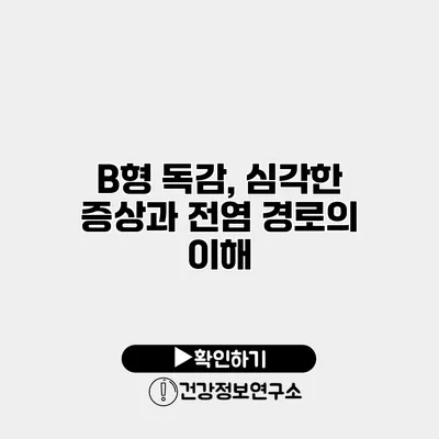 B형 독감, 심각한 증상과 전염 경로의 이해