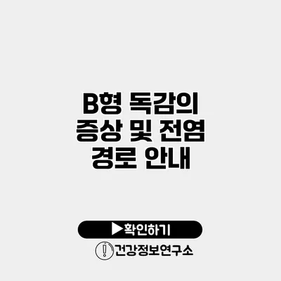 B형 독감의 증상 및 전염 경로 안내