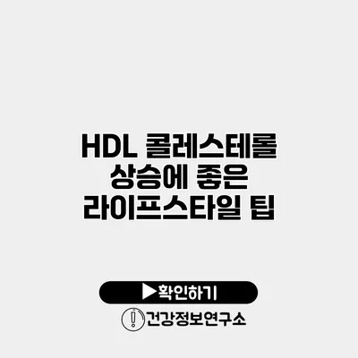 HDL 콜레스테롤 상승에 좋은 라이프스타일 팁