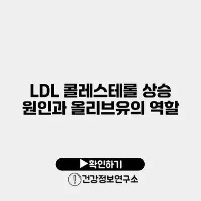 LDL 콜레스테롤 상승 원인과 올리브유의 역할