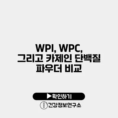 WPI, WPC, 그리고 카제인 단백질 파우더 비교