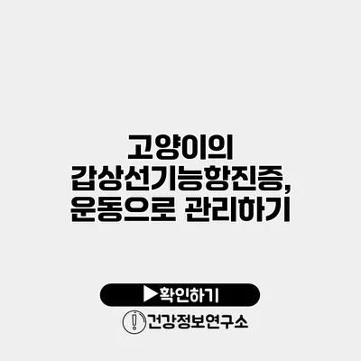 고양이의 갑상선기능항진증, 운동으로 관리하기