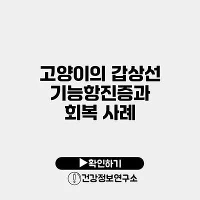 고양이의 갑상선기능항진증과 회복 사례