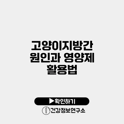 고양이지방간 원인과 영양제 활용법