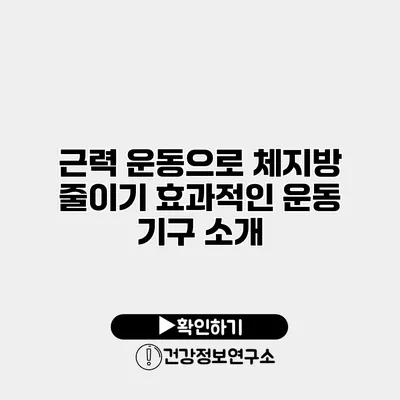 근력 운동으로 체지방 줄이기 효과적인 운동 기구 소개