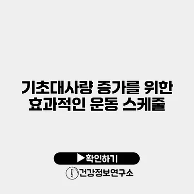 기초대사량 증가를 위한 효과적인 운동 스케줄