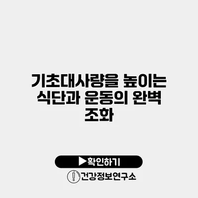 기초대사량을 높이는 식단과 운동의 완벽 조화
