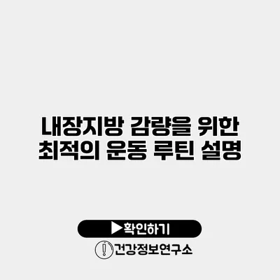 내장지방 감량을 위한 최적의 운동 루틴 설명