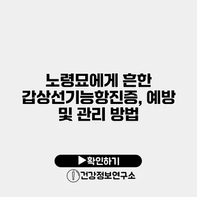 노령묘에게 흔한 갑상선기능항진증, 예방 및 관리 방법