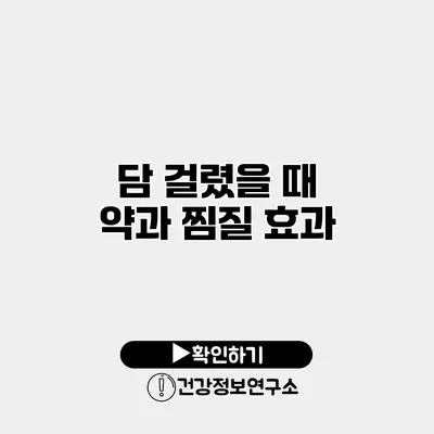 담 걸렸을 때 약과 찜질 효과