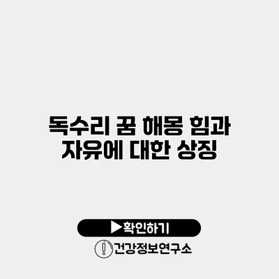 독수리 꿈 해몽 힘과 자유에 대한 상징