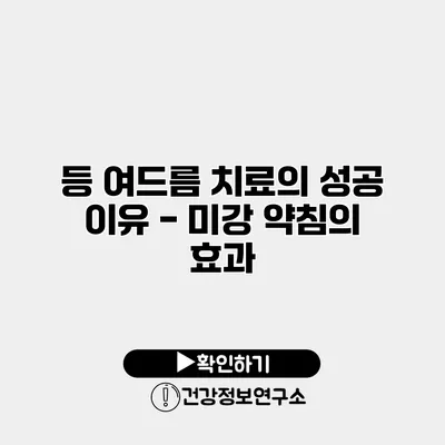 등 여드름 치료의 성공 이유 - 미강 약침의 효과