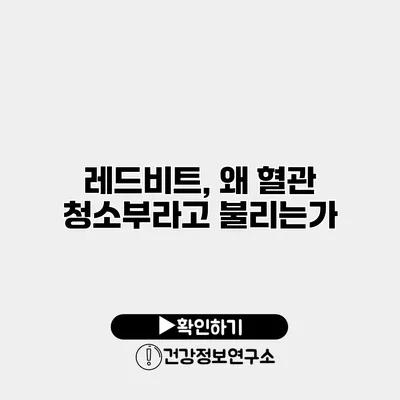 레드비트, 왜 혈관 청소부라고 불리는가?