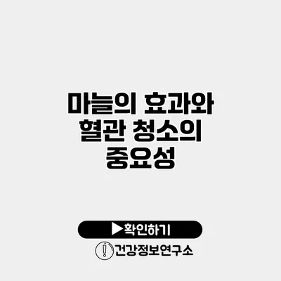 마늘의 효과와 혈관 청소의 중요성