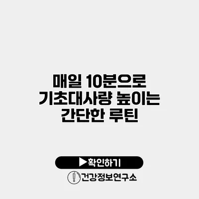 매일 10분으로 기초대사량 높이는 간단한 루틴