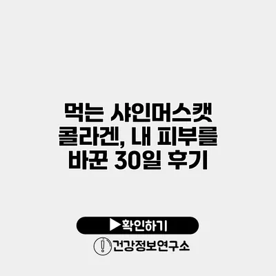 먹는 샤인머스캣 콜라겐, 내 피부를 바꾼 30일 후기