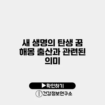 새 생명의 탄생 꿈 해몽 출산과 관련된 의미