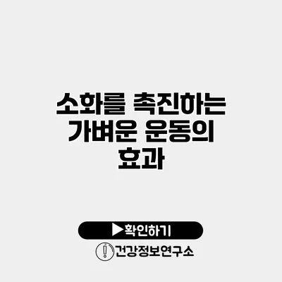 소화를 촉진하는 가벼운 운동의 효과