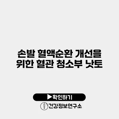 손발 혈액순환 개선을 위한 혈관 청소부 낫토