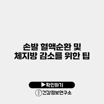 손발 혈액순환 및 체지방 감소를 위한 팁