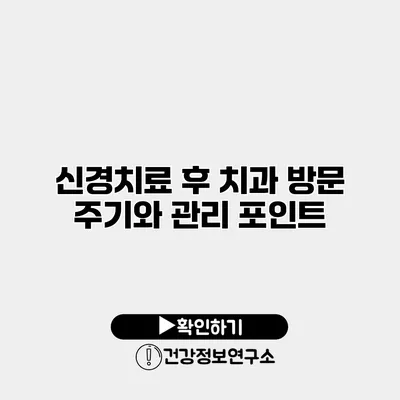 신경치료 후 치과 방문 주기와 관리 포인트