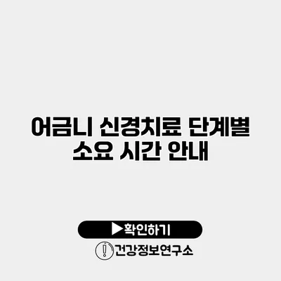 어금니 신경치료 단계별 소요 시간 안내